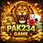 PAK234 Game