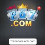 P67 Game APK